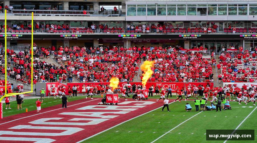 无惧失败，追逐胜利！